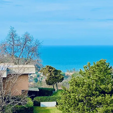 Mare Ledimar * 페자로