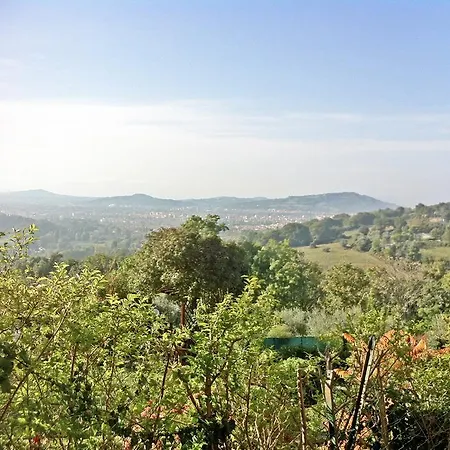 Mare Ledimar Пезаро