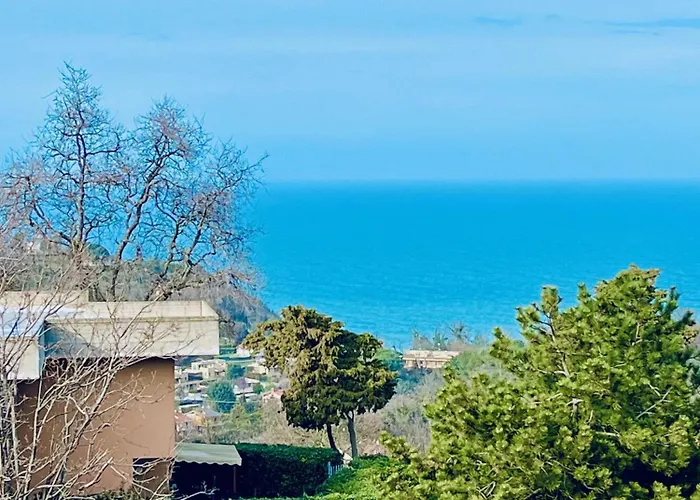 Mare Ledimar * 페자로